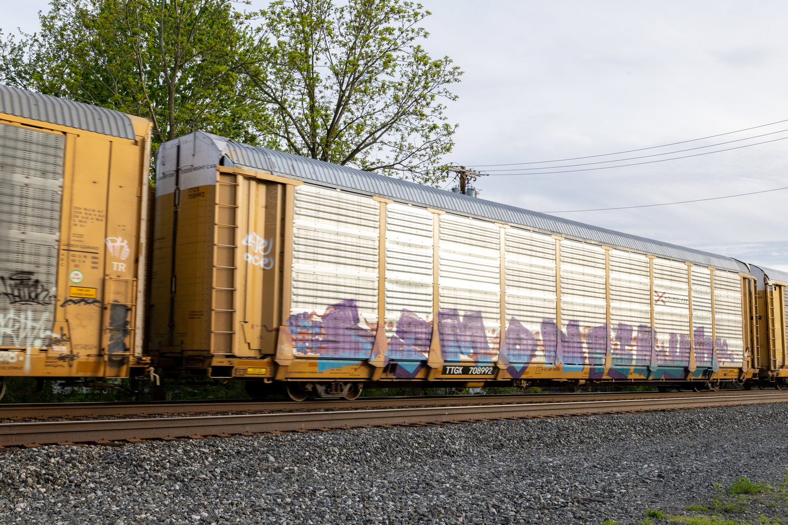 TTGX 708992