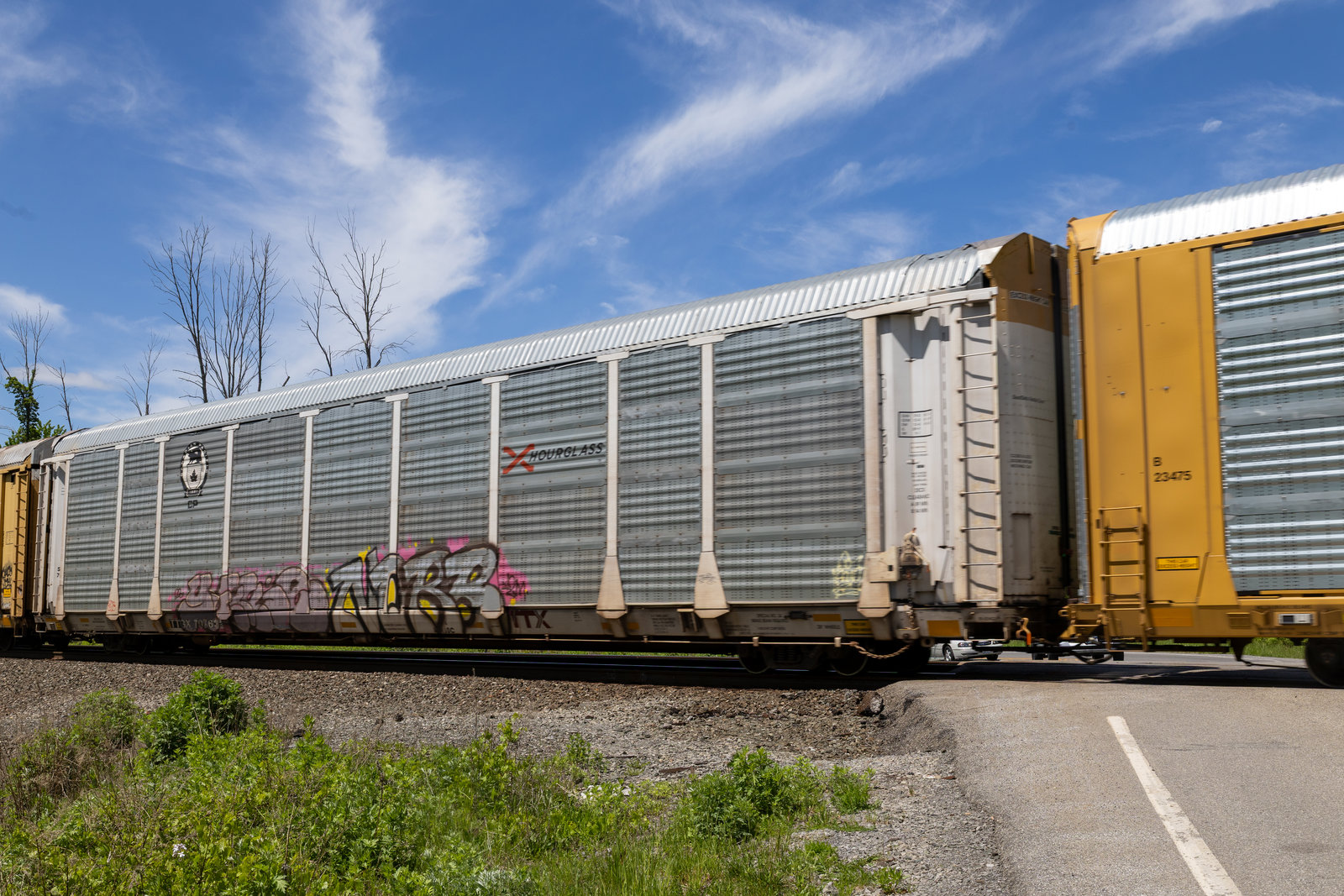 TTGX 707632