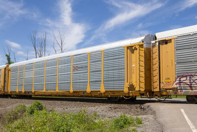 TTGX 835824