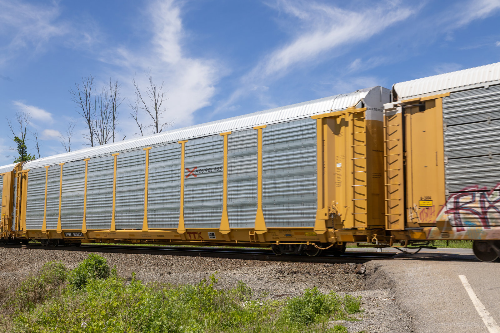 TTGX 835824