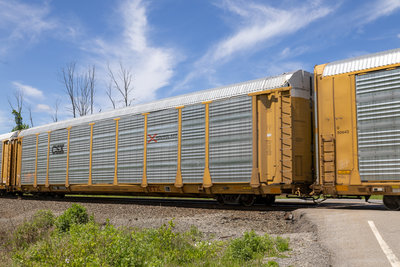 TTGX 709302