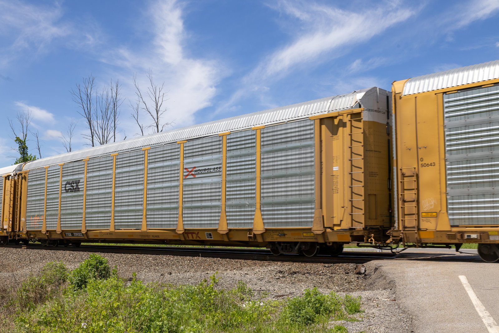 TTGX 709302