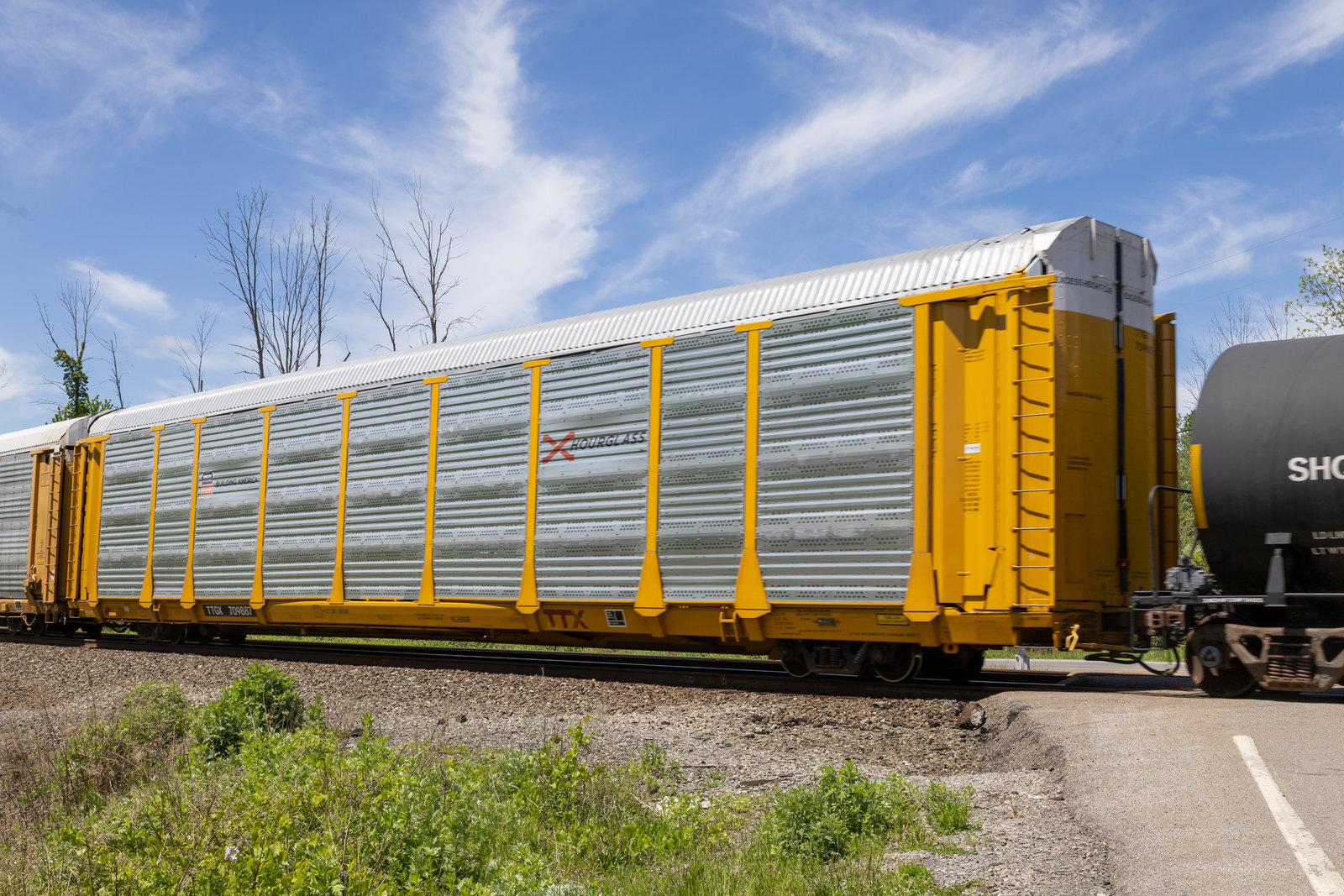 TTGX 709887