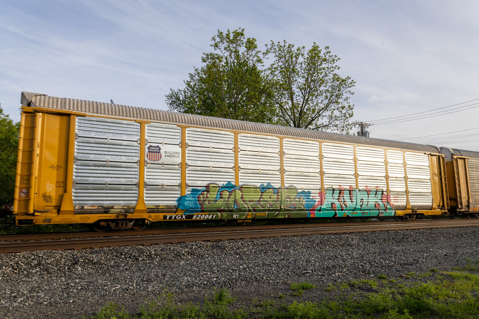 TTGX 820061