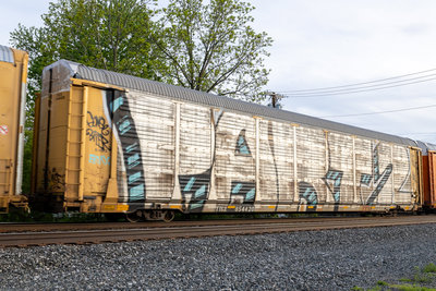 TTGX 854420