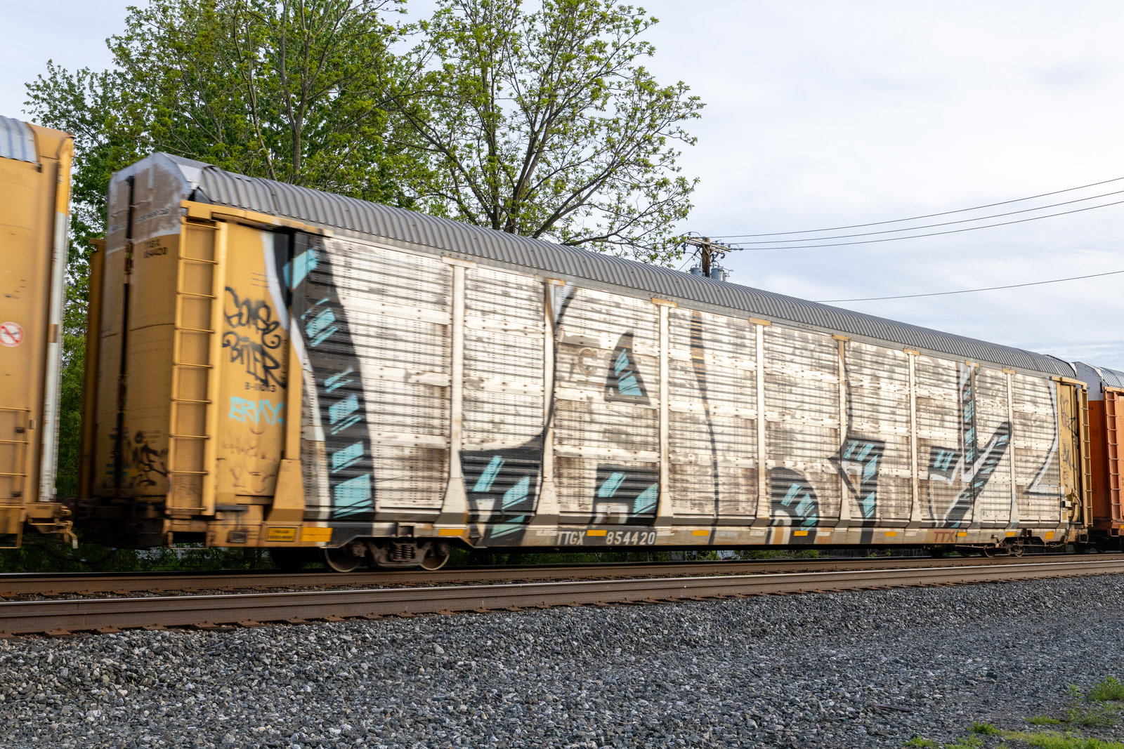 TTGX 854420