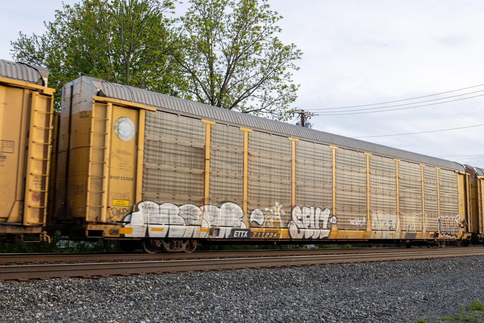 ETTX 711234