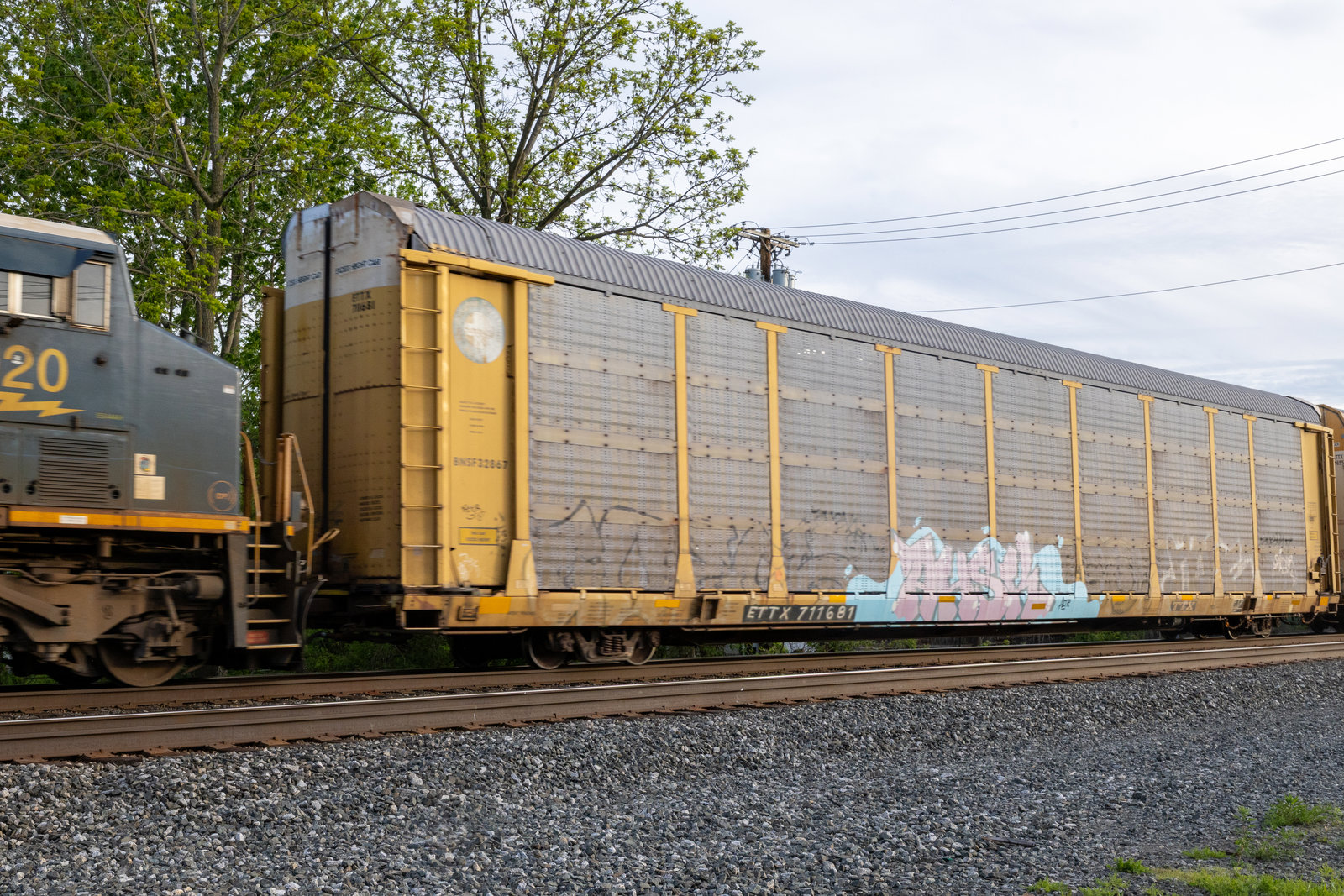 ETTX 711681