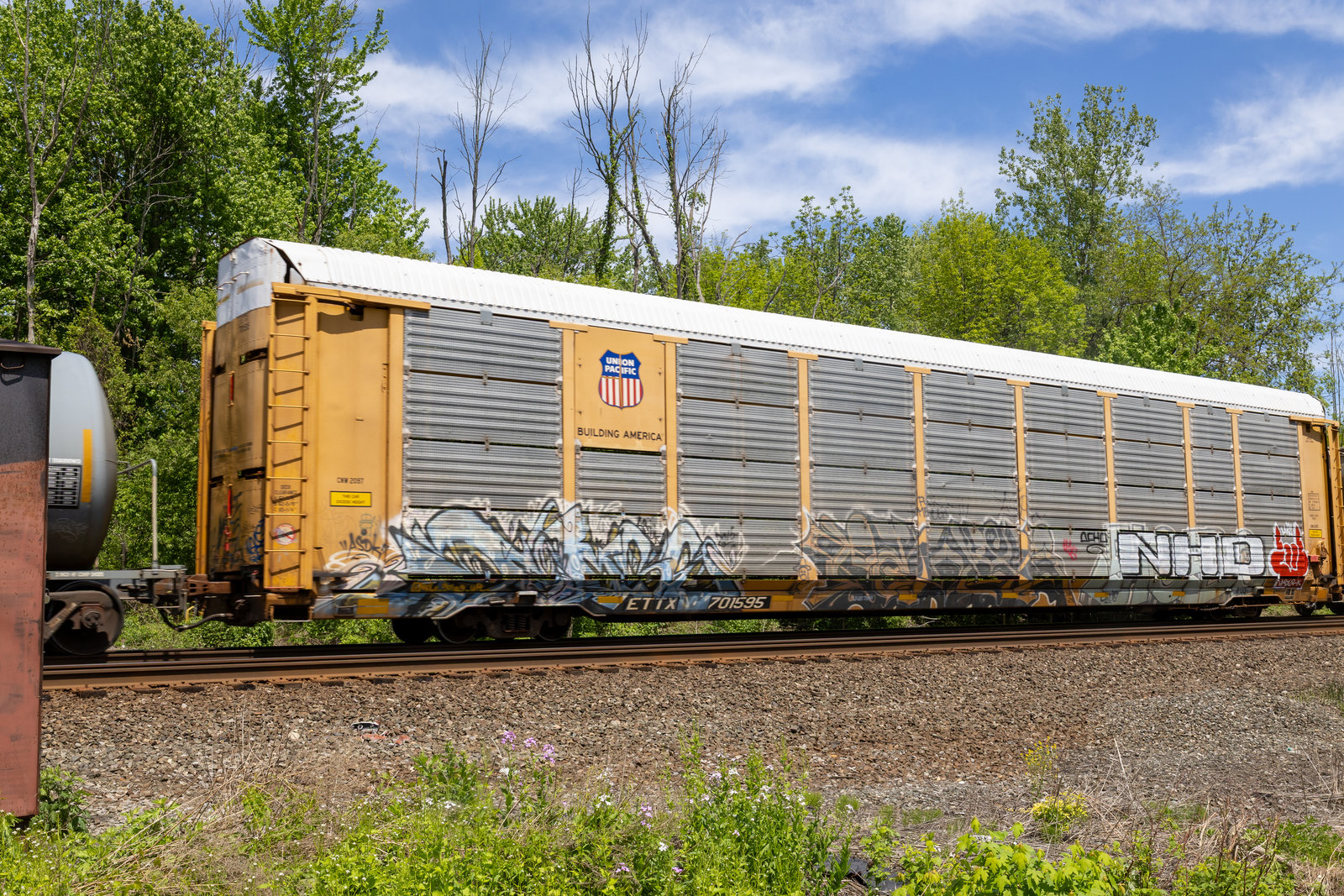 ETTX 701595