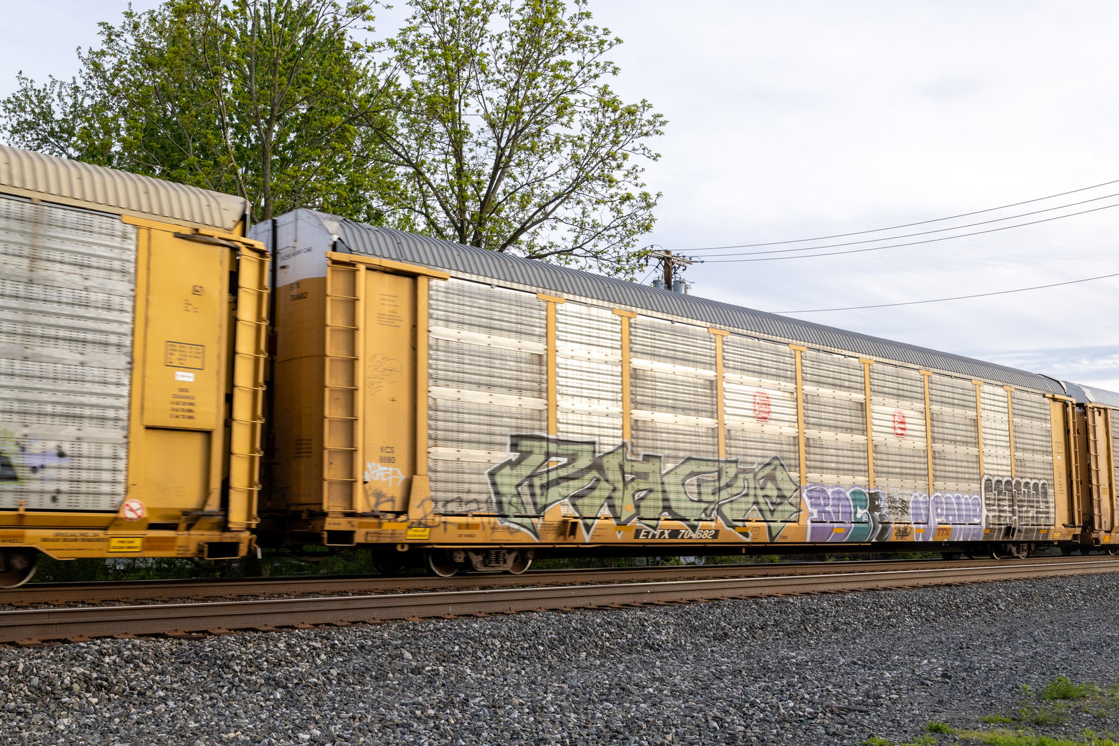 ETTX 704682