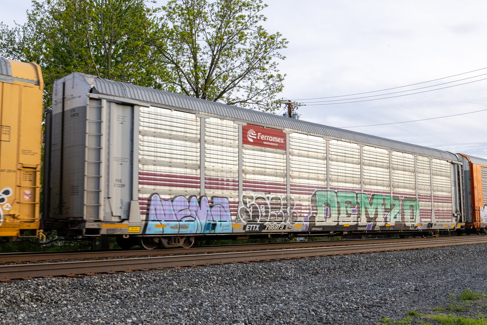 ETTX 705973