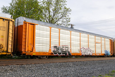 BNSF 301206