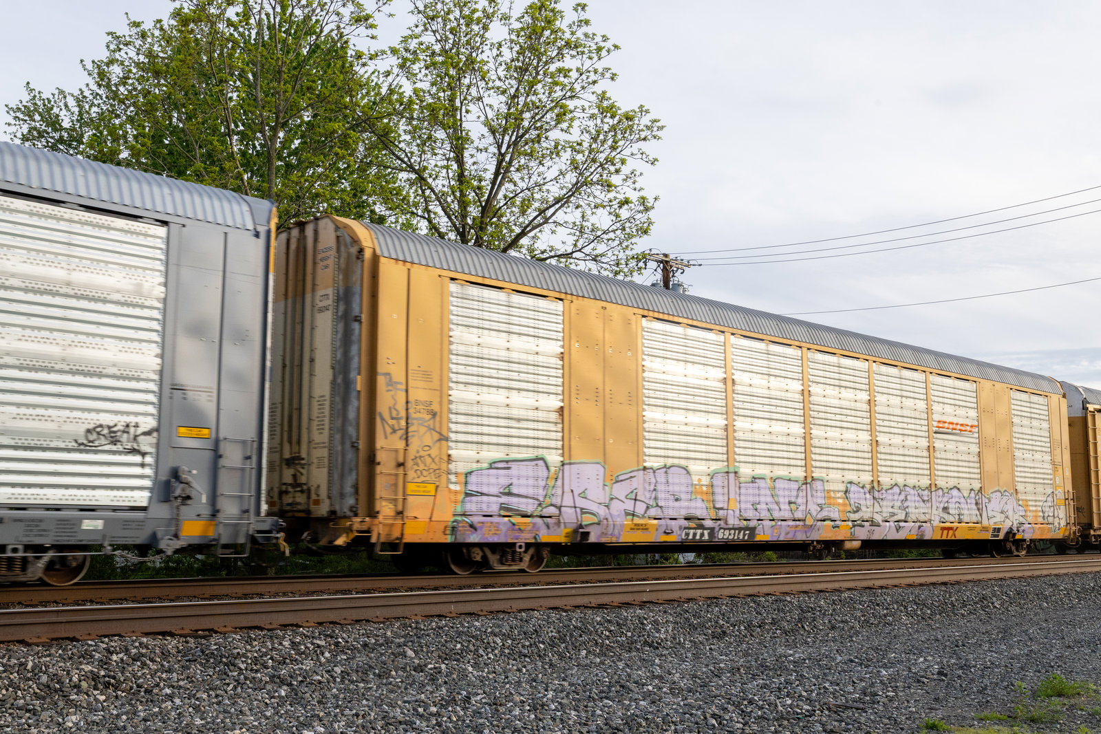 CTTX 693147