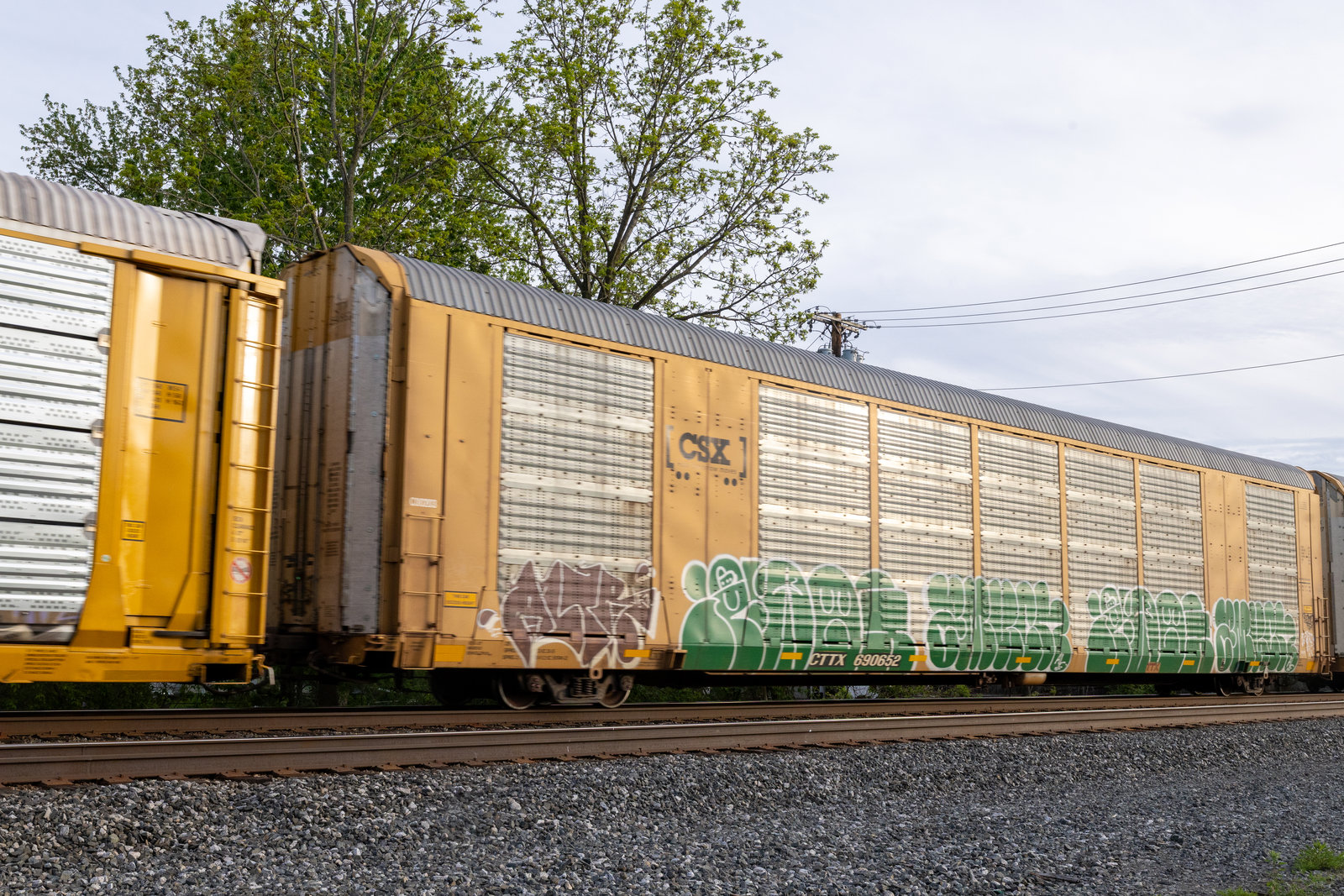 CTTX 690652