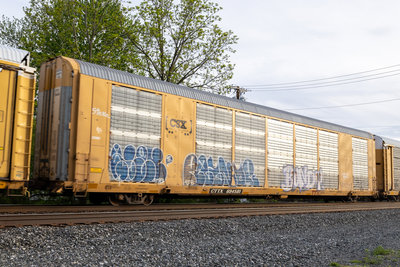 CTTX 694581