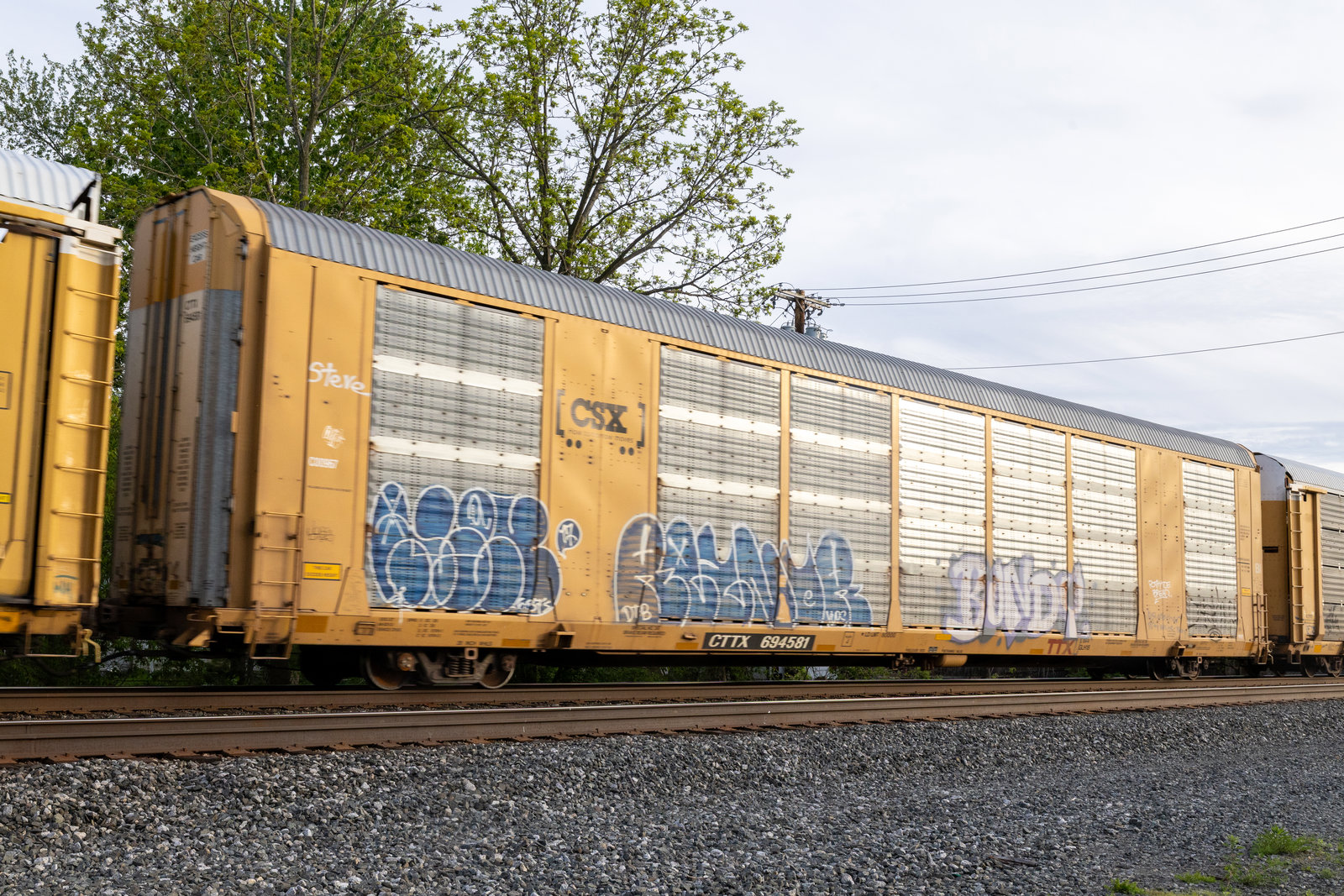 CTTX 694581