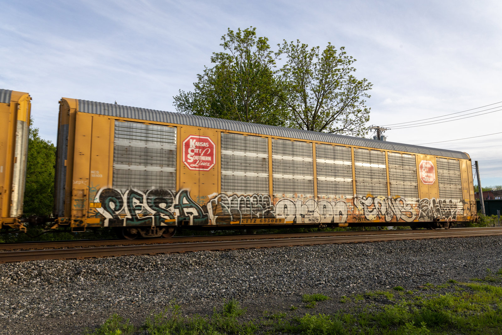 CTTX 695089