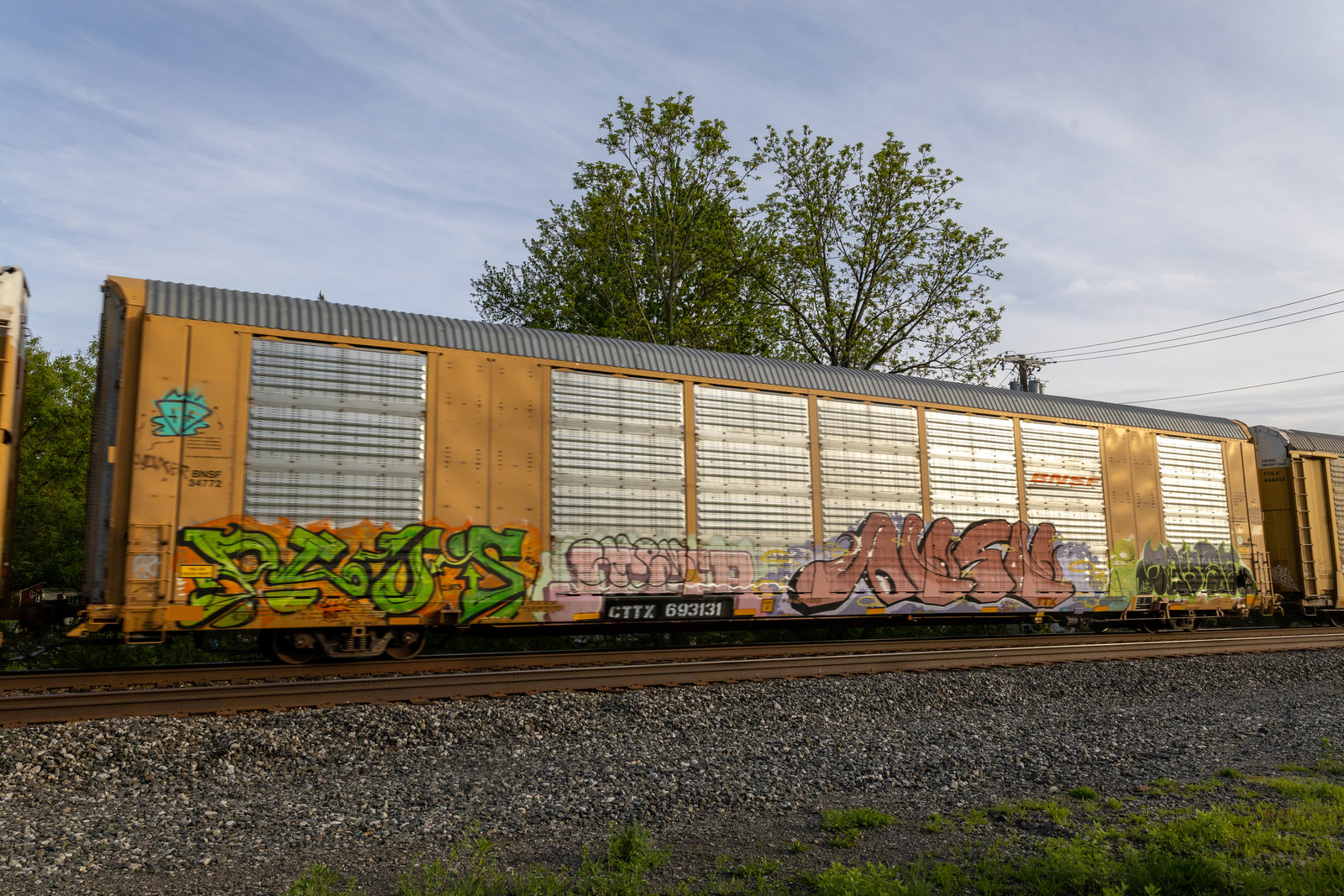 CTTX 693131
