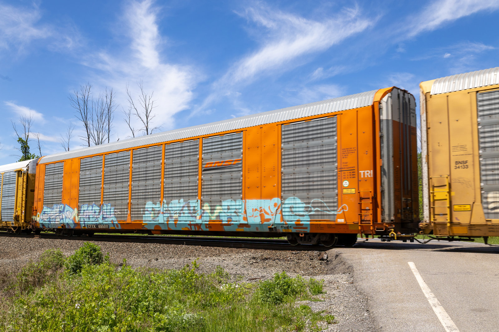 CTTX 695011