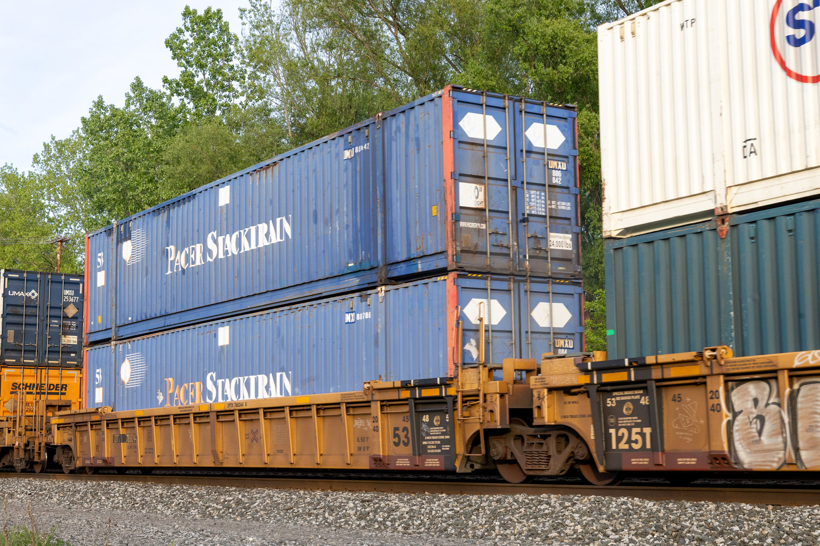 DTTX 788244B