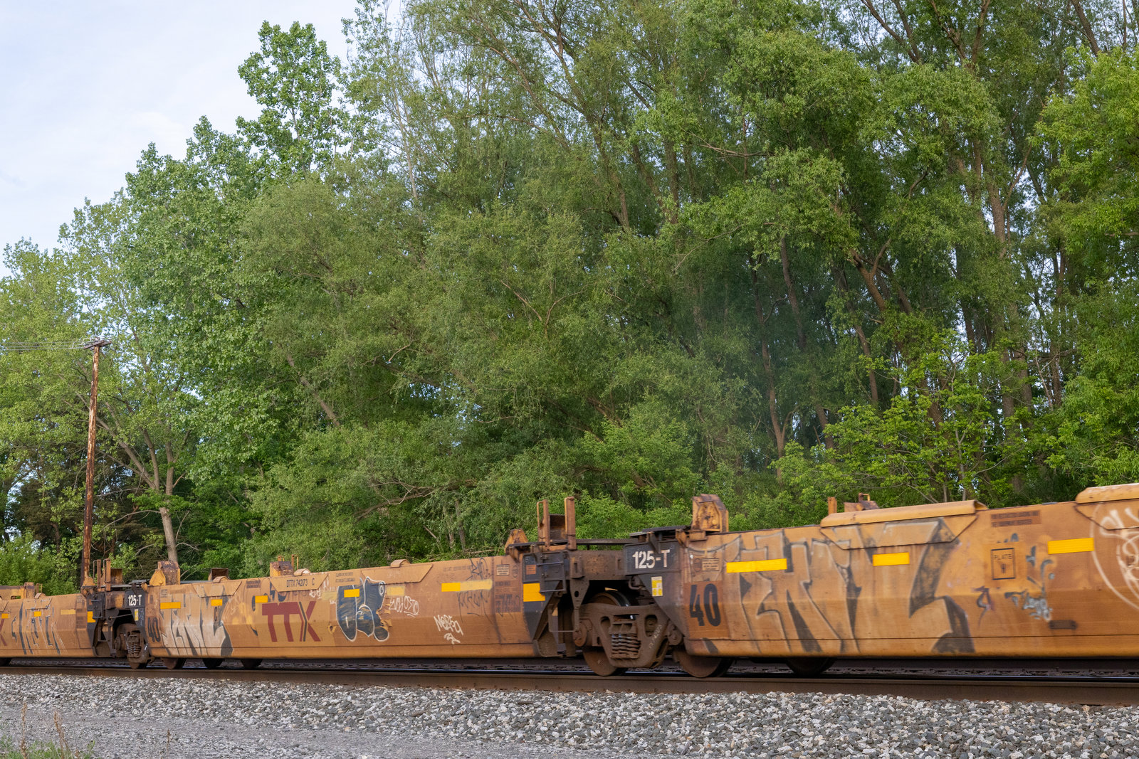 DTTX 742173C