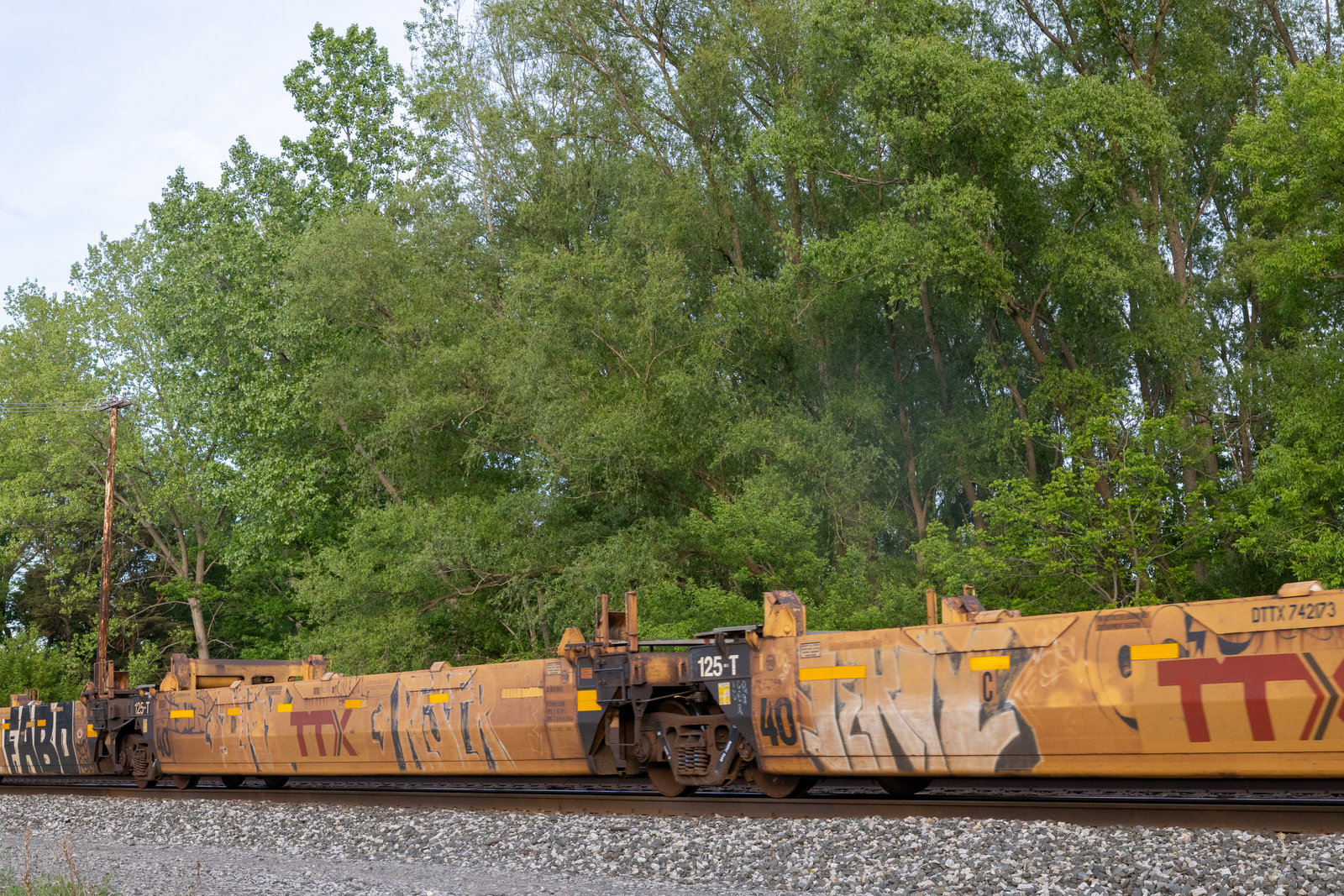 DTTX 742173D