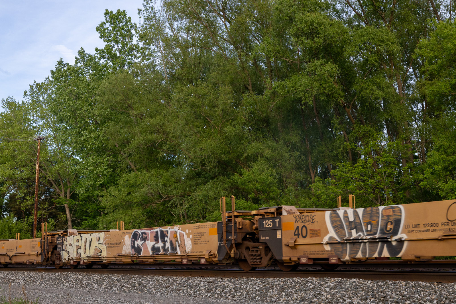 DTTX 759578D