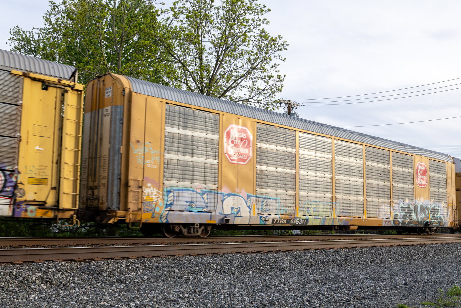 TTGX 695321