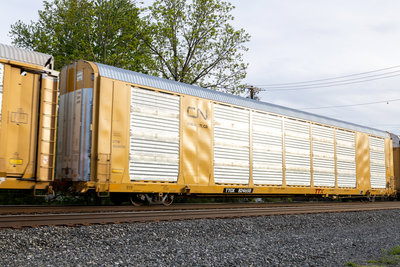 TTGX 824658