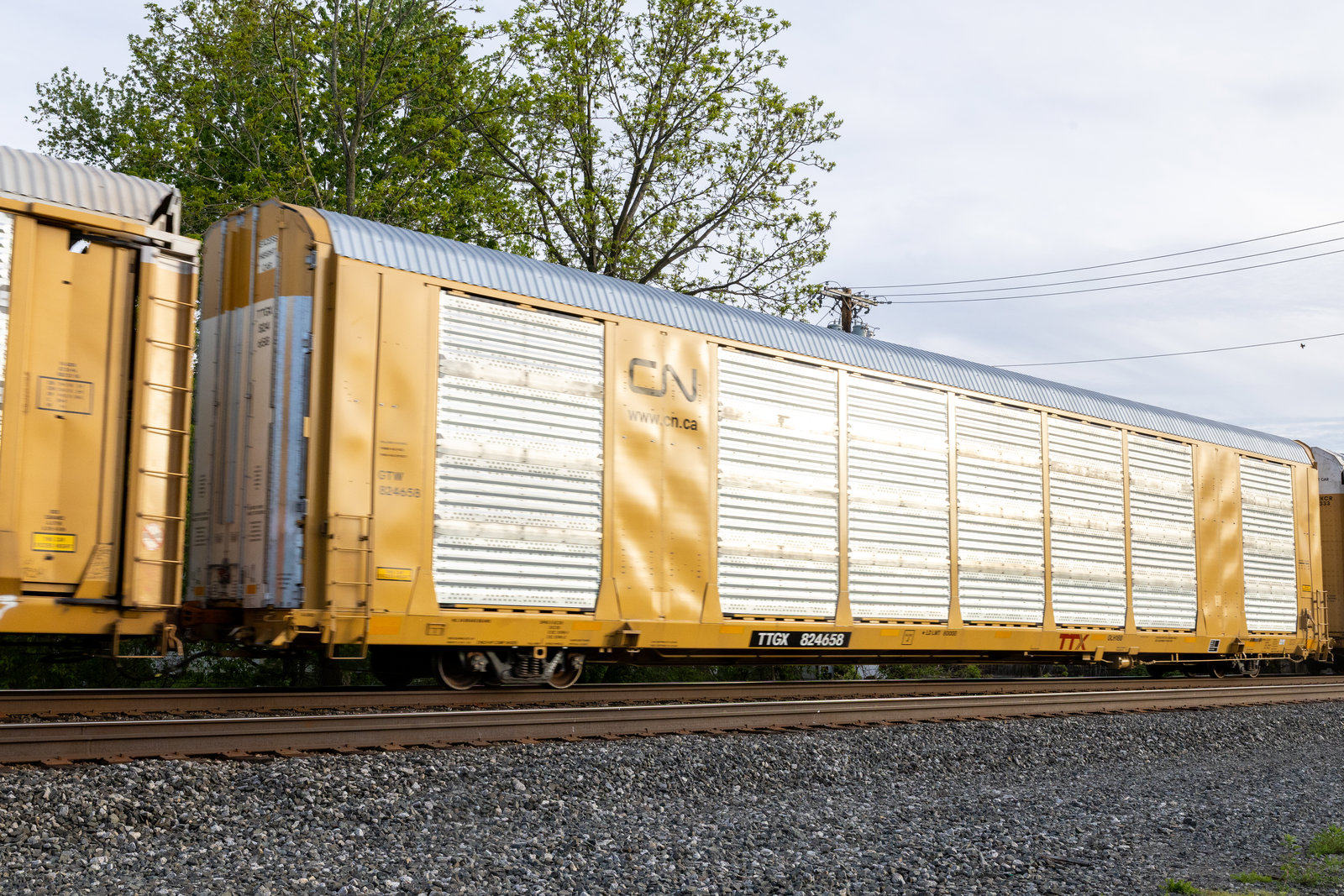 TTGX 824658