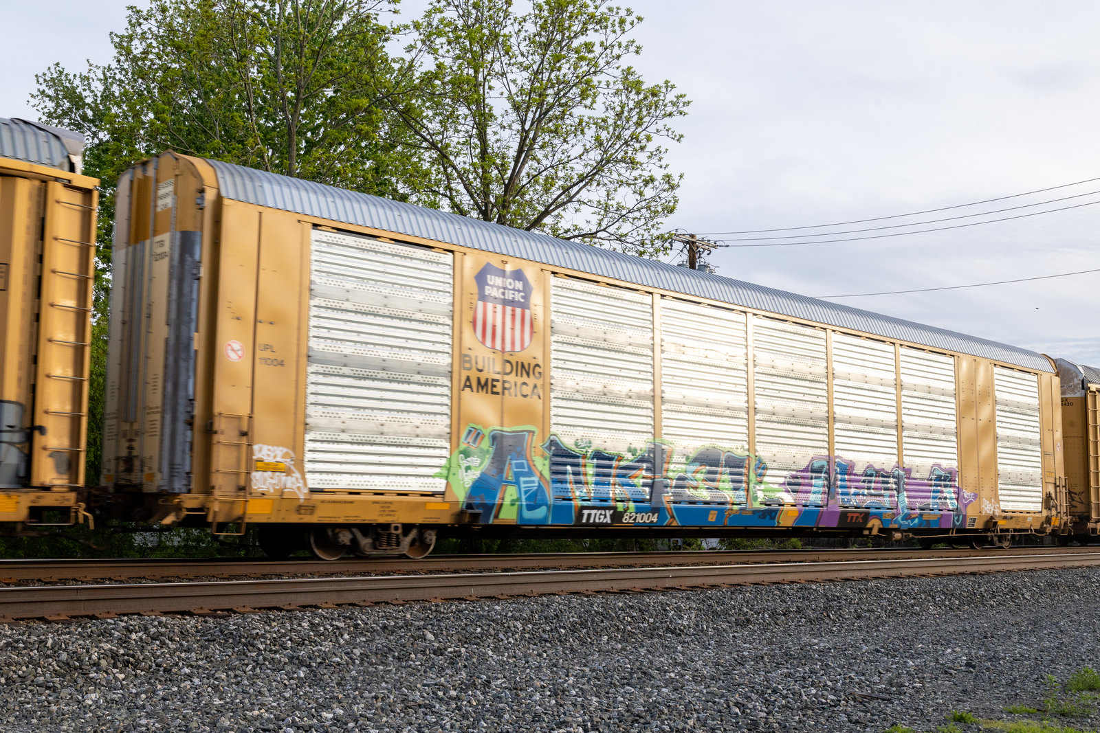 TTGX 821004