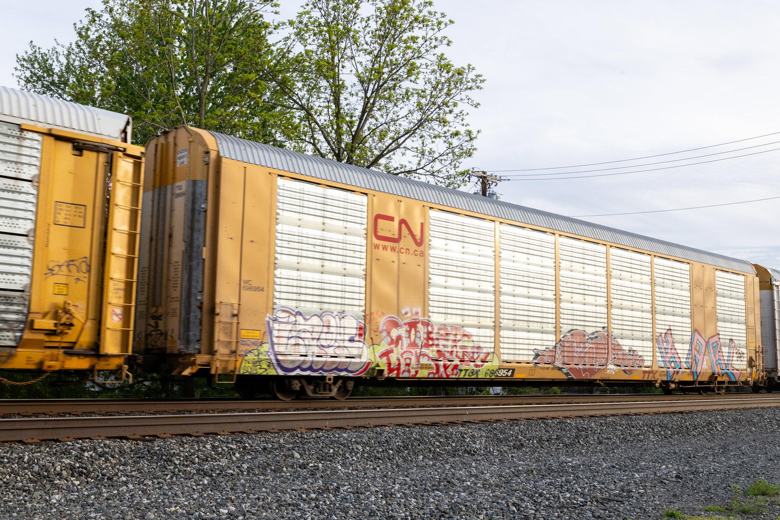 TTGX 696954