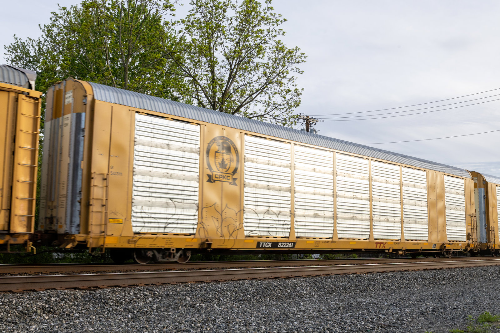 TTGX 822261