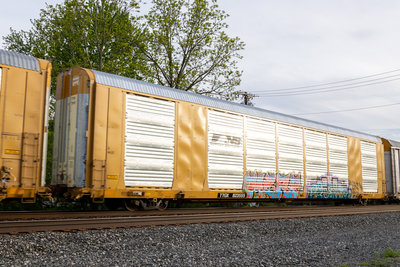 TTGX 823555