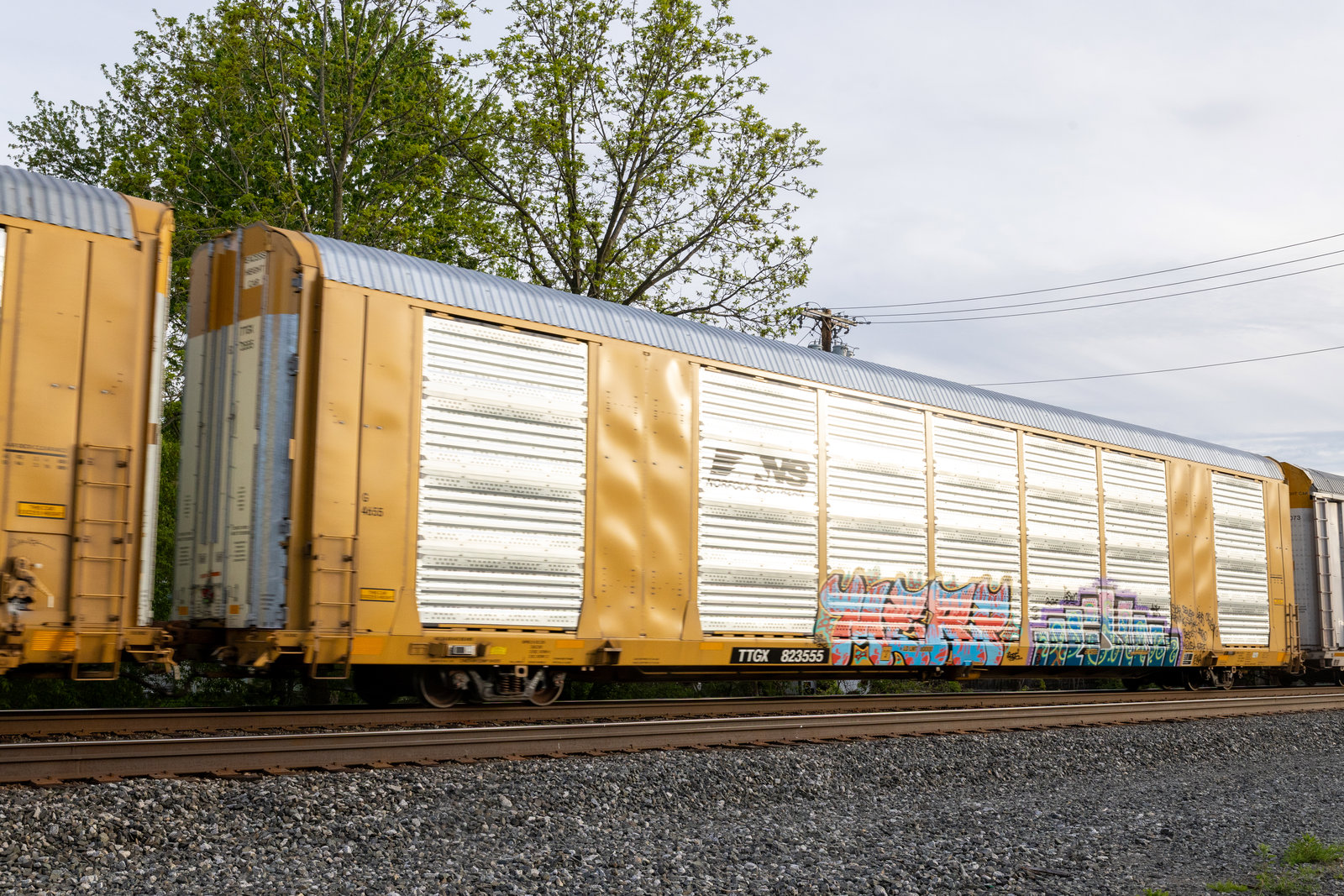 TTGX 823555