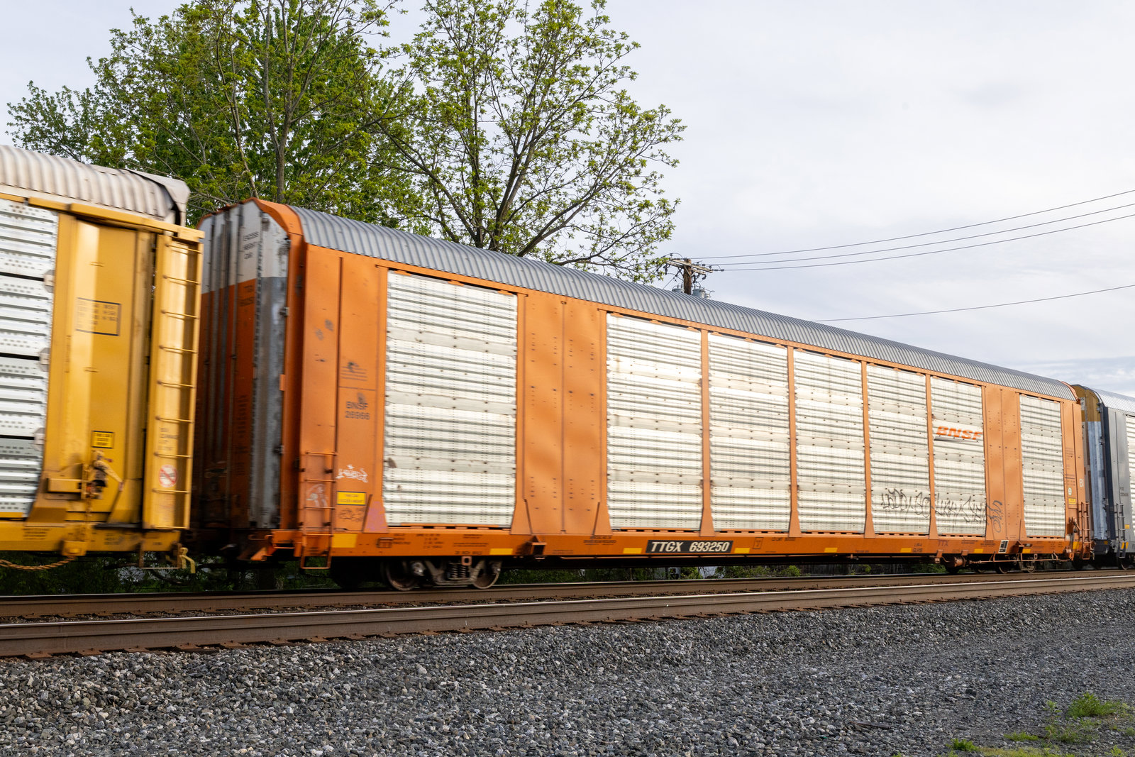 TTGX 693250
