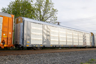 TTGX 825020