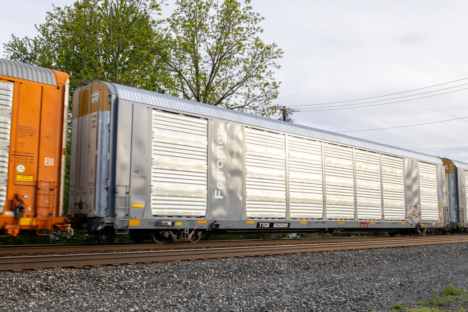 TTGX 825020