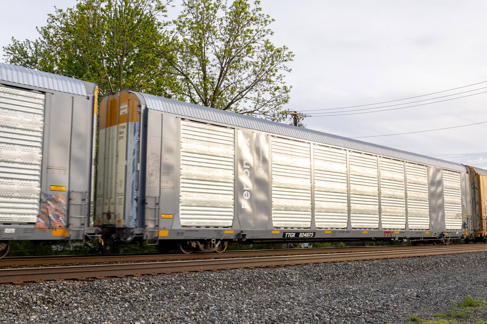 TTGX 824873