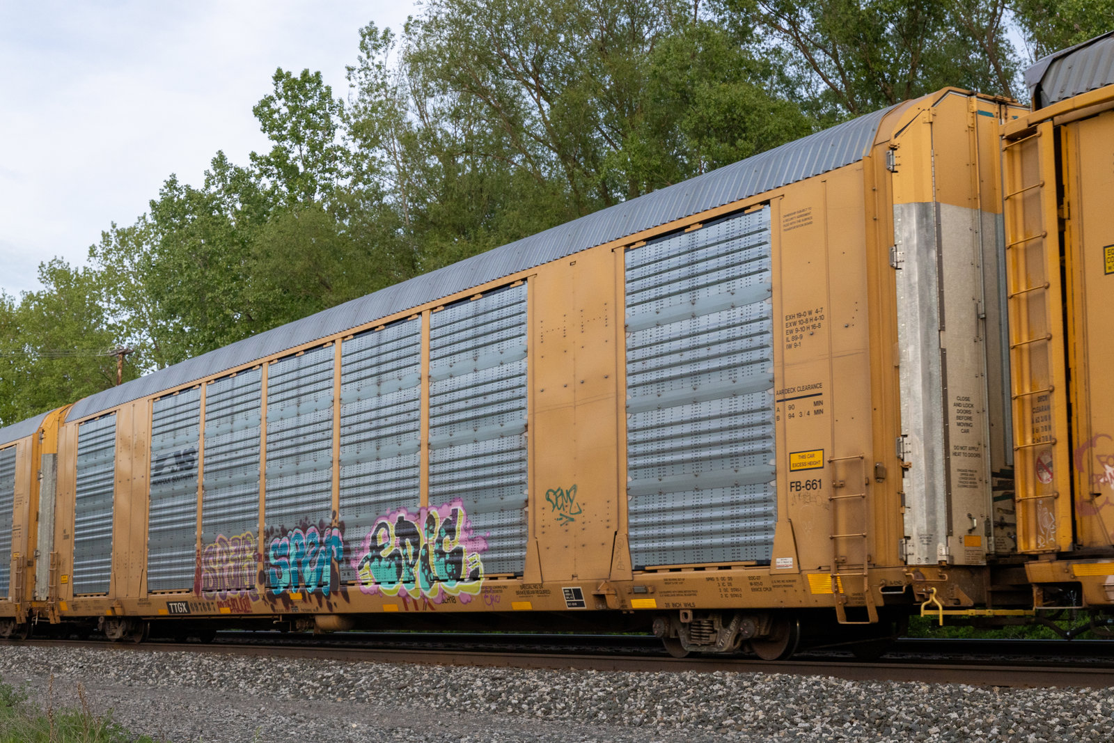 TTGX 697687