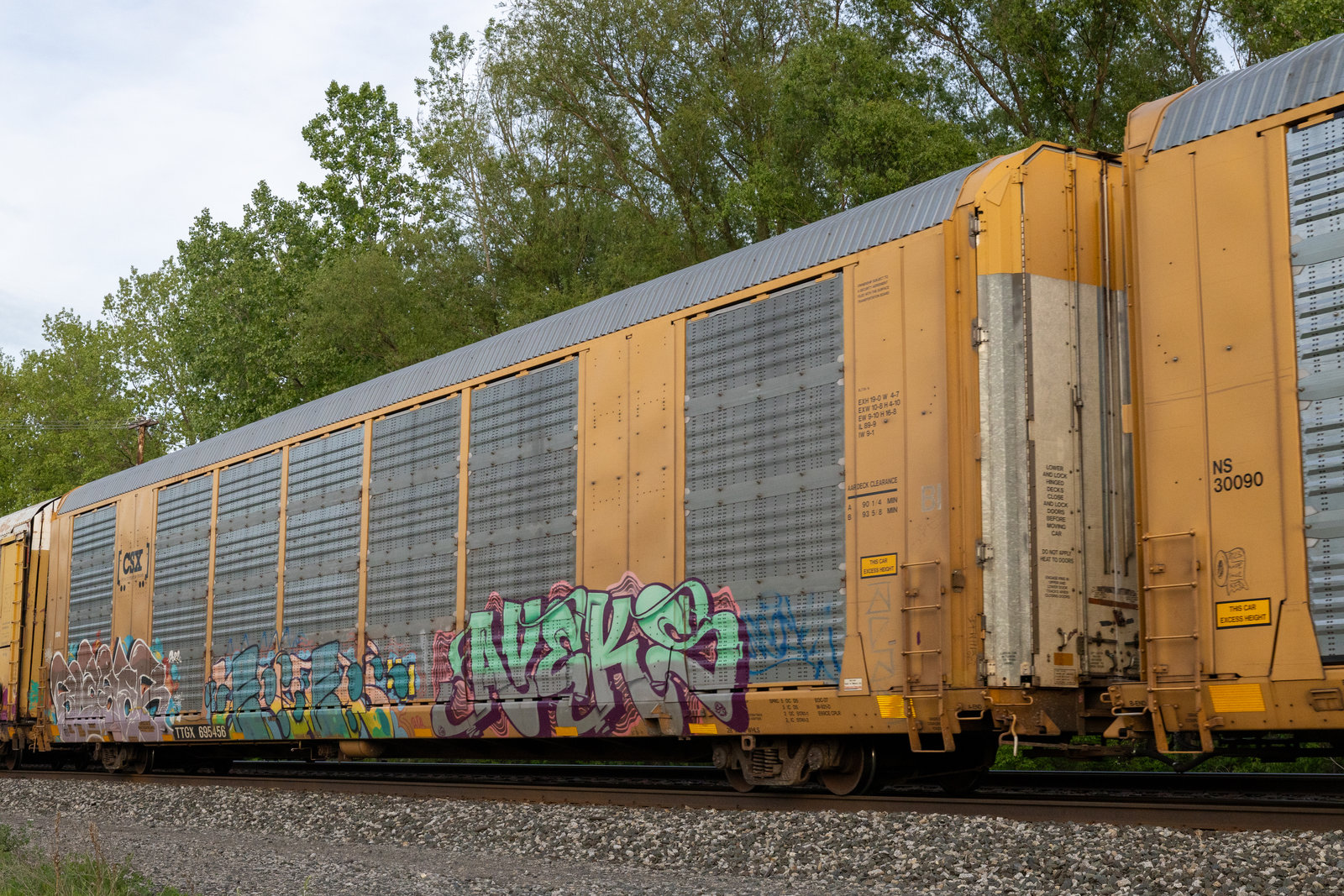 TTGX 695456