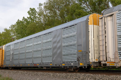 TTGX 824870