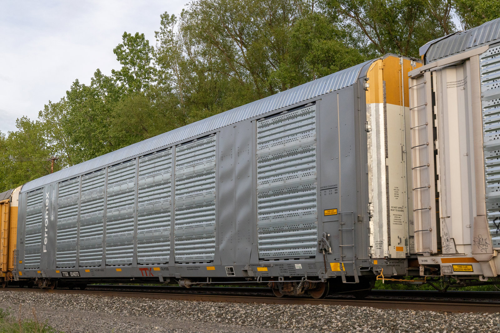 TTGX 824870