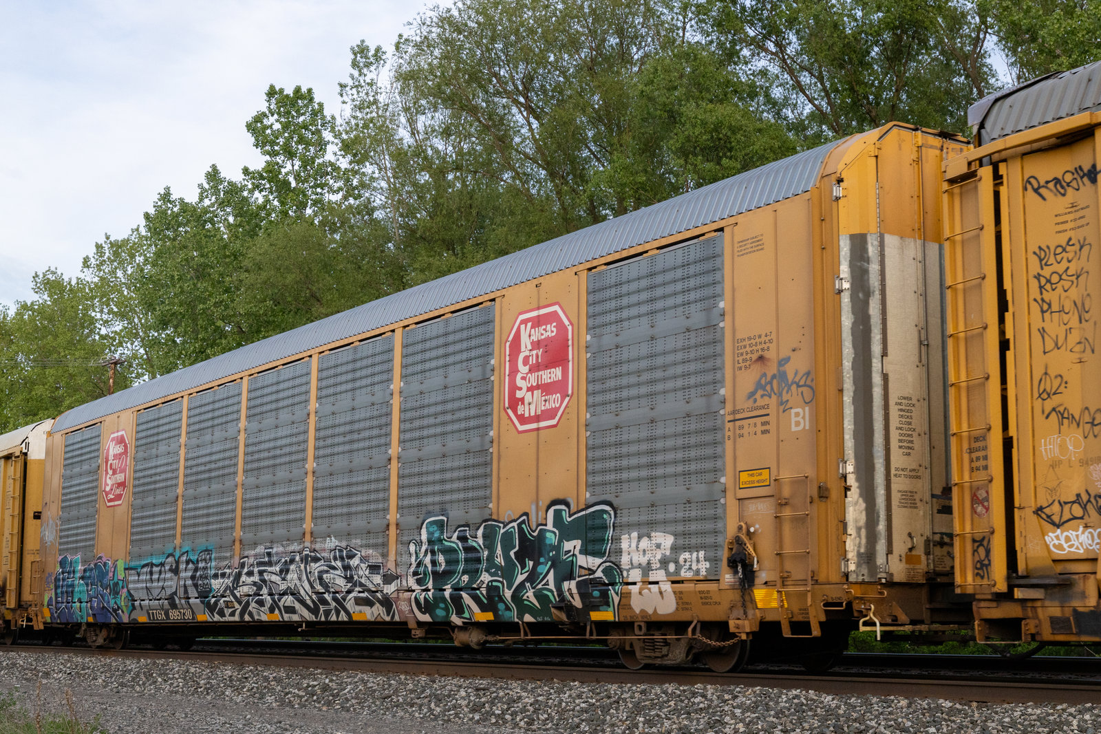 TTGX 695730