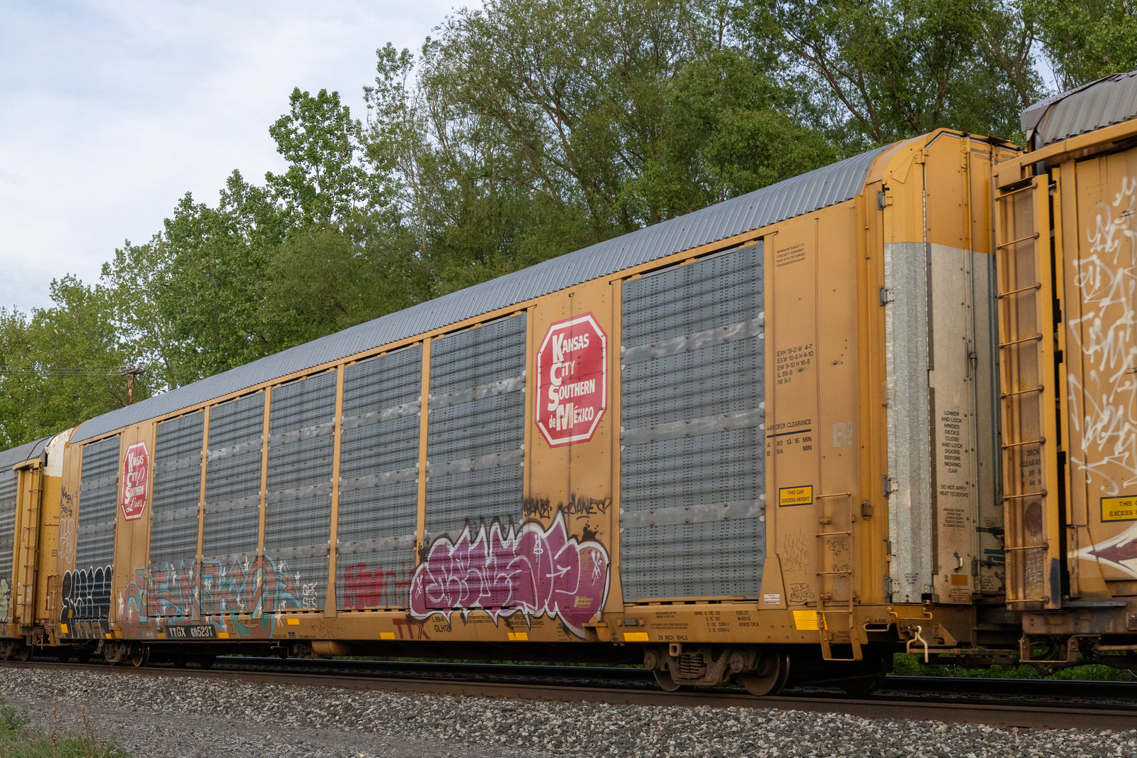 TTGX 695237