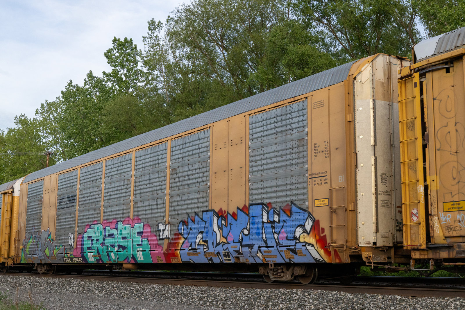 TTGX 691442