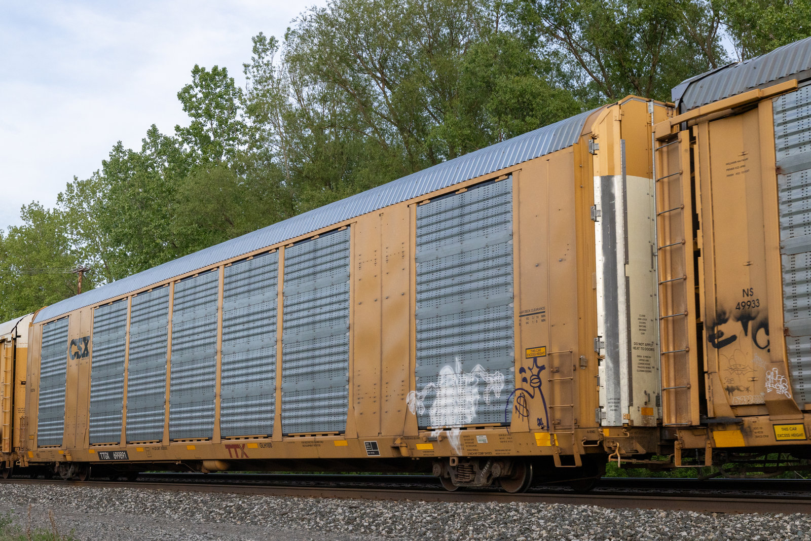 TTGX 699891