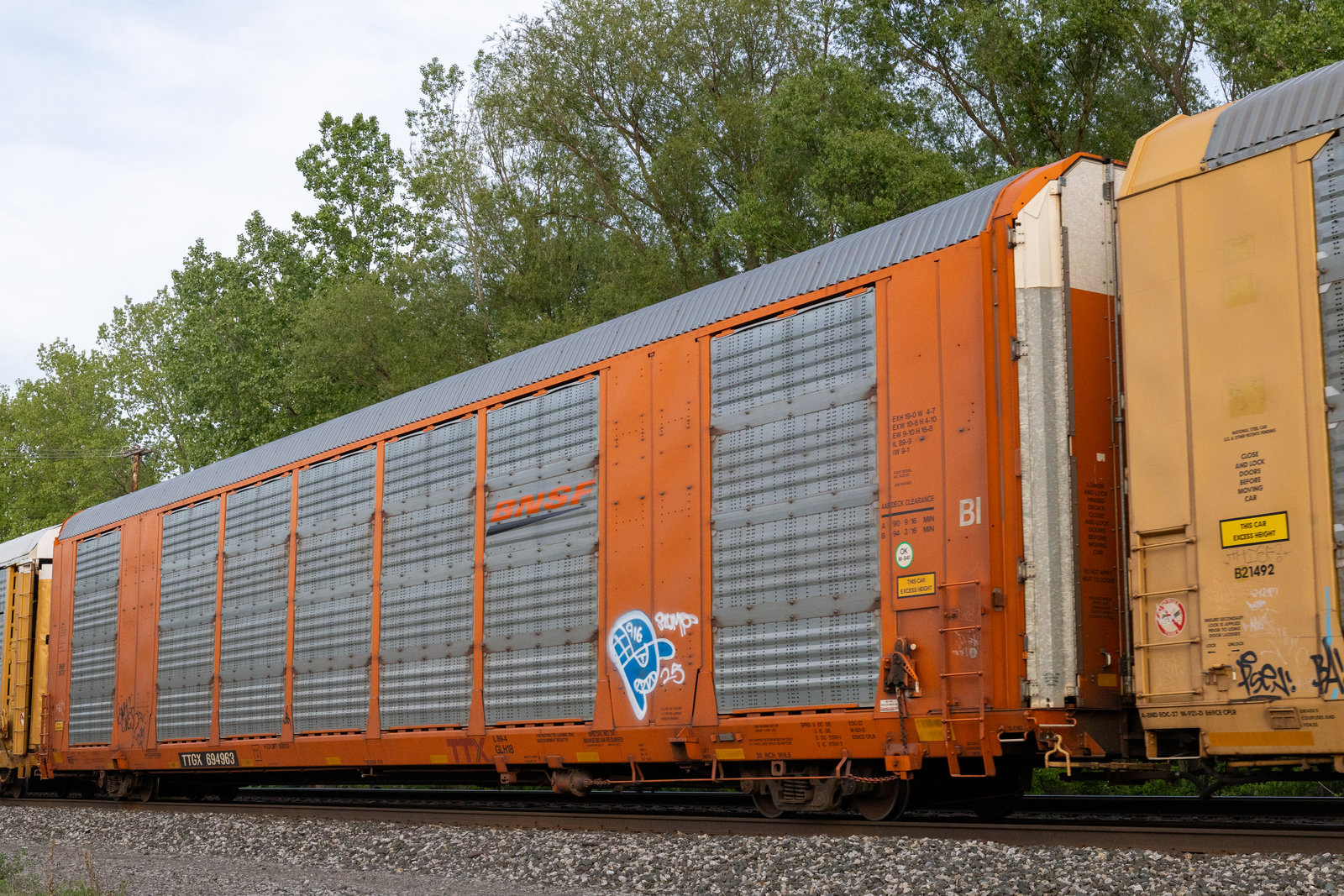 TTGX 694963