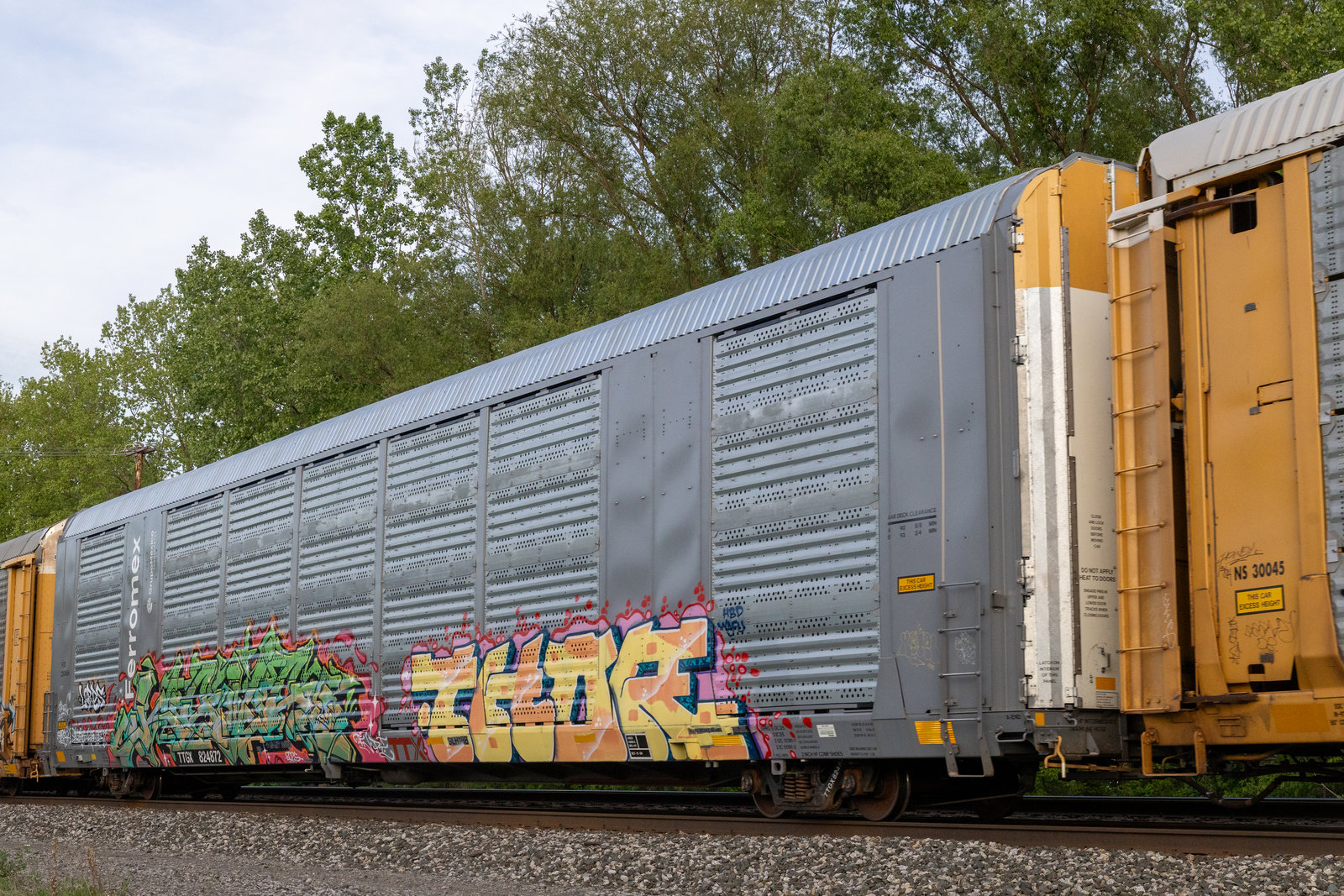 TTGX 824872