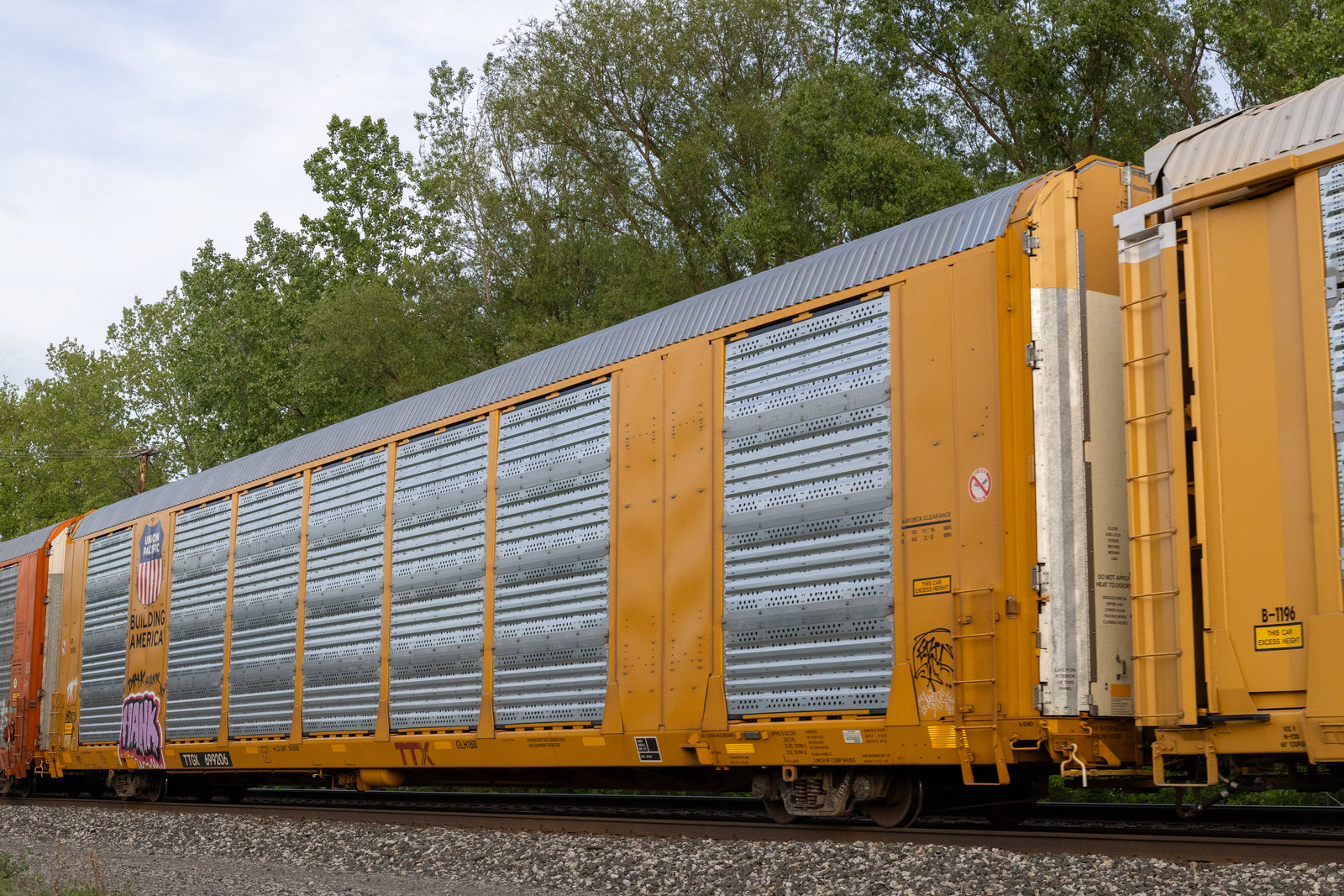 TTGX 699206